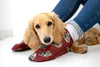 Autumn/winter range | Bespoke pet socks