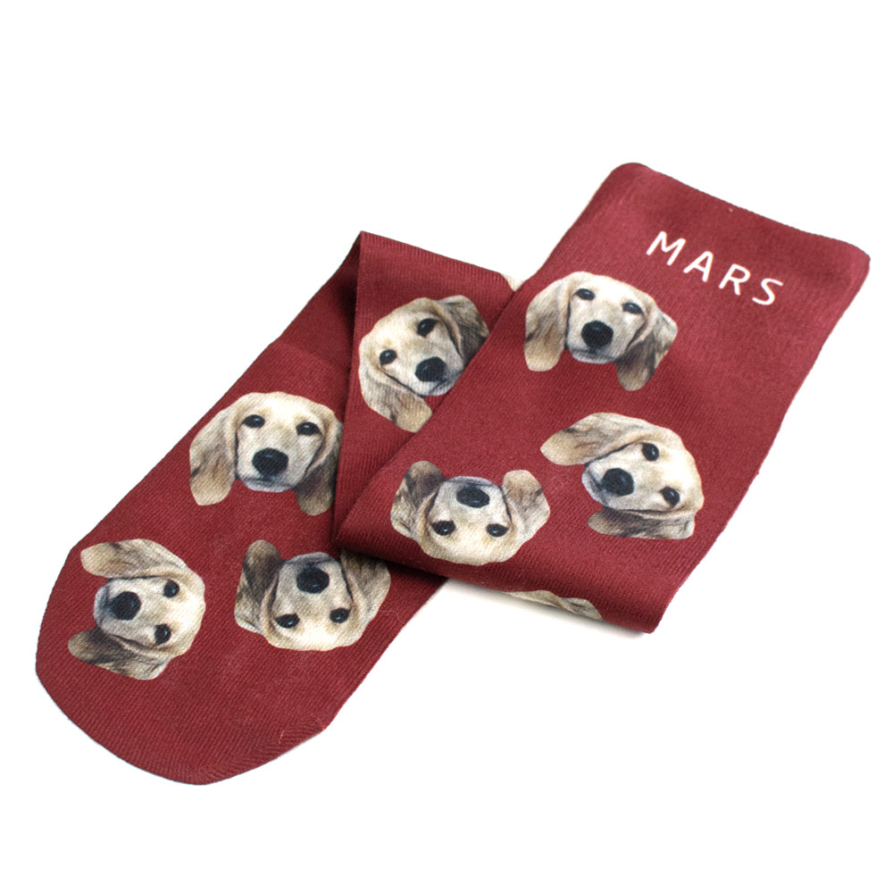 Evergreen | Autumn/winter range | Bespoke pet socks