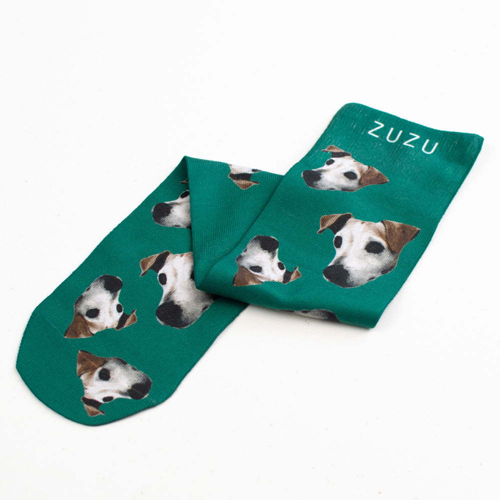 Evergreen | Autumn/winter range | Bespoke pet socks